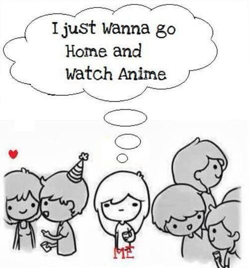 My Anime Life