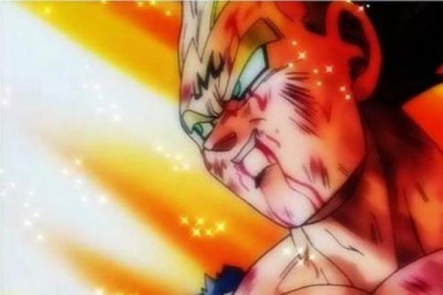 Vegeta's Pride
